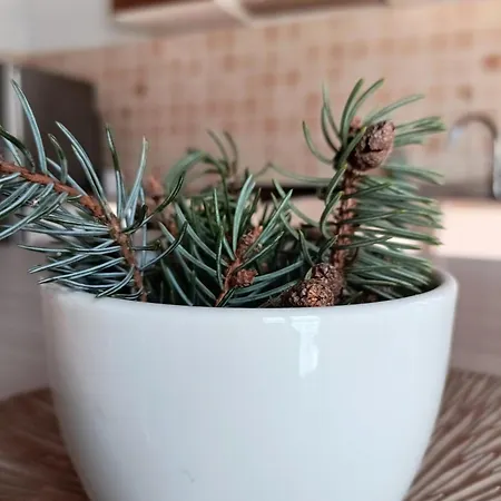 Casa Nicole Valle Stura Demonte