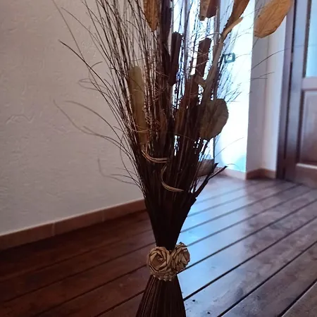 Σπίτι διακοπών Casa Nicole Valle Stura *