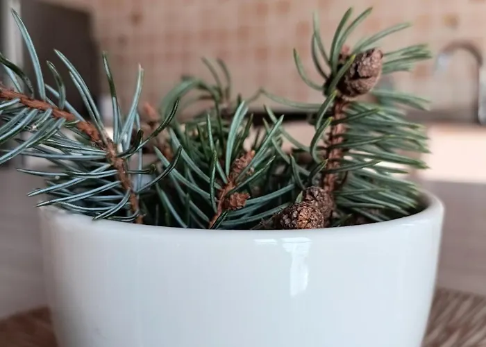 Casa Nicole Valle Stura Demonte